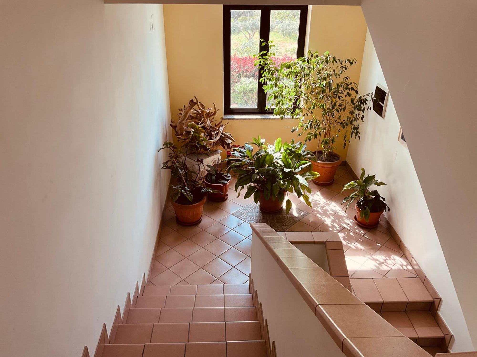 Casa Vacanza Demetra Fuscaldo 外观 照片